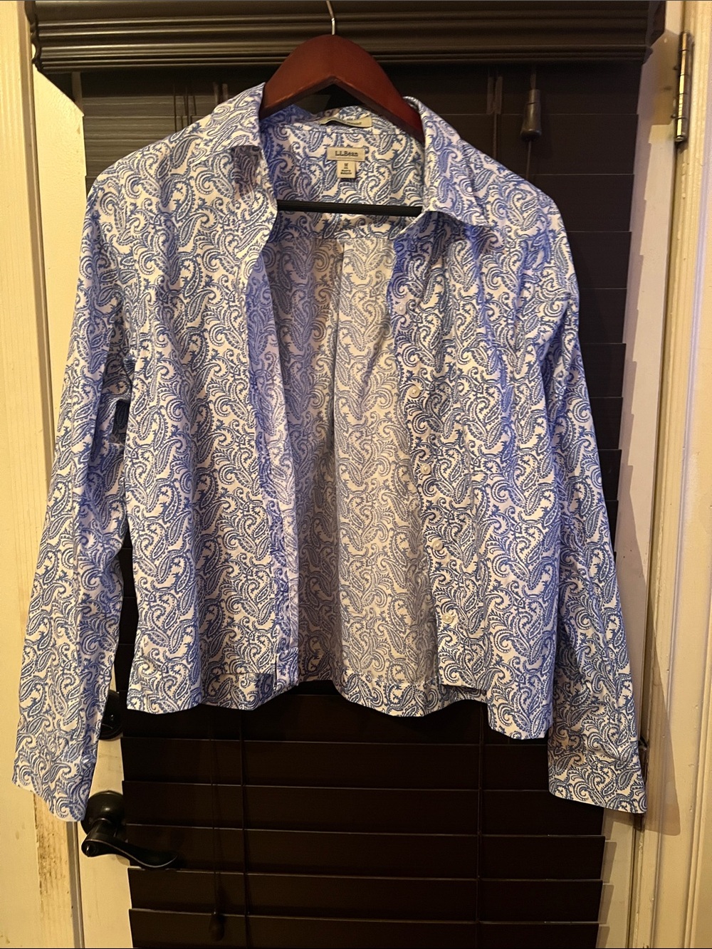 L.L. Bean Blue and White Paisley Shirt